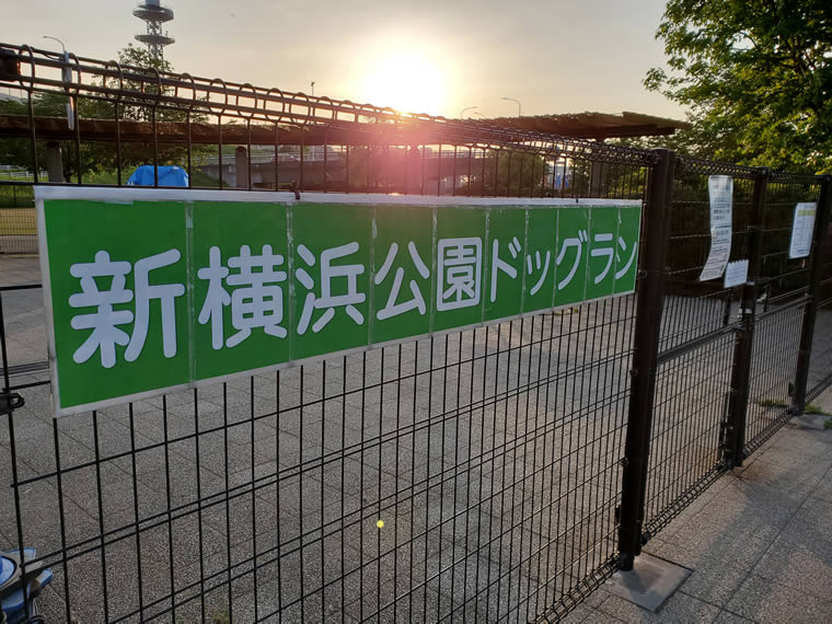 新横浜公園ドッグラン