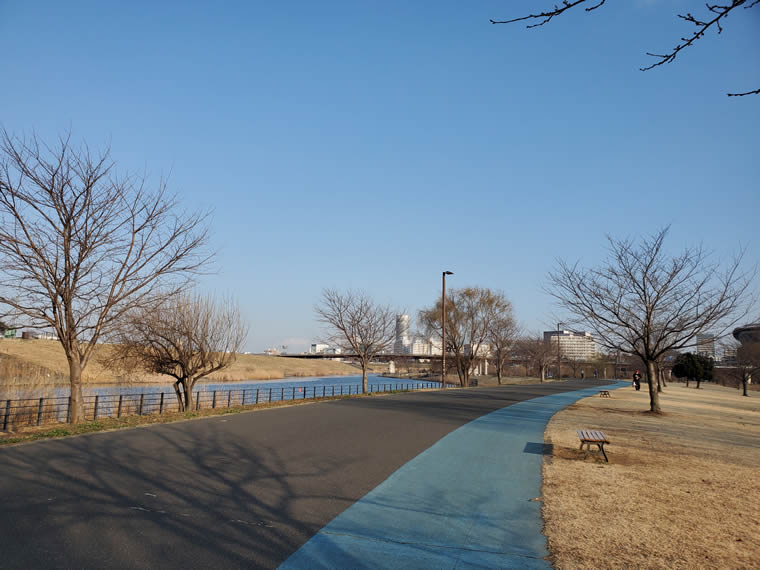 新横浜公園のランニング・ウォーキングコース