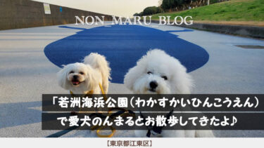 若洲海浜公園（わかすかいひんこうえん）で愛犬のんまるとお散歩してきたよ（東京都江東区）
