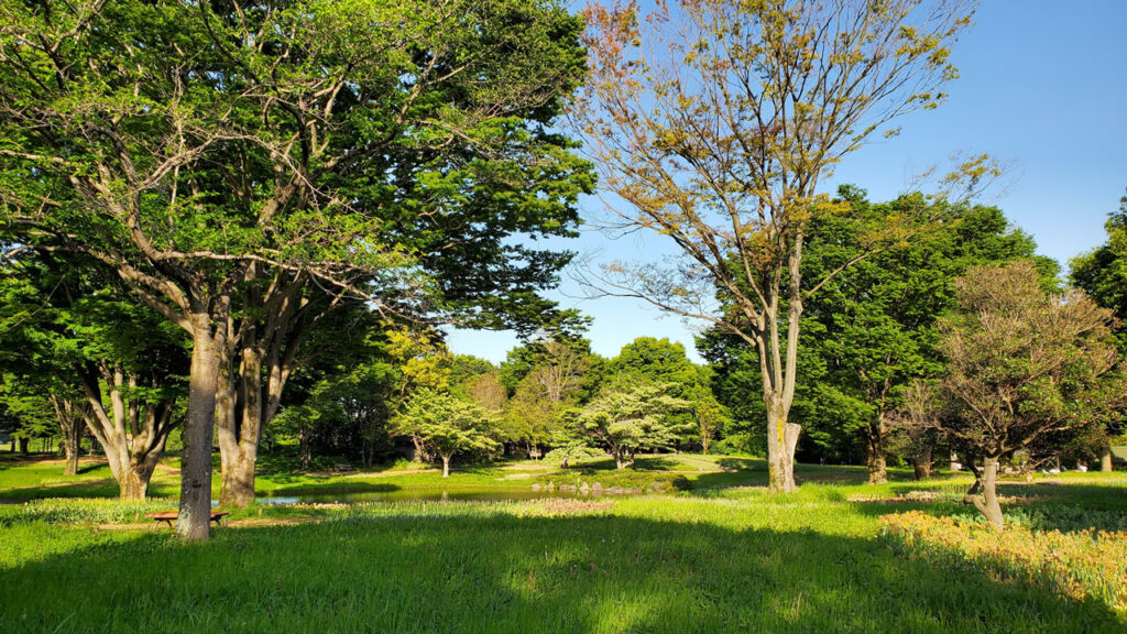 渓流広場の横を通りお散歩しながら砂川口に向かいます！