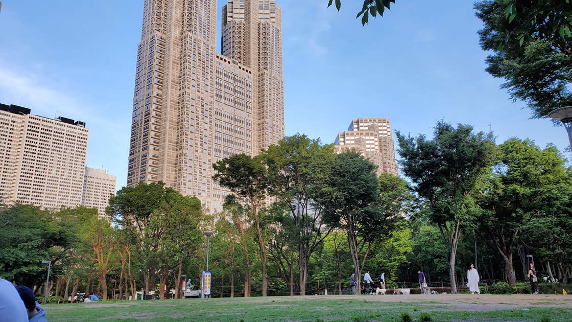 新宿中央公園の『芝生広場』