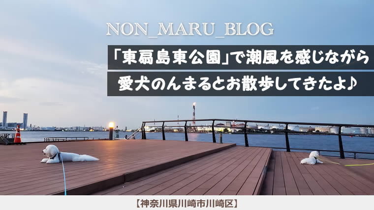 東扇島東公園（ひがしおうぎしまひがしこうえん）で愛犬のんまると潮風を感じながらお散歩してきたよ（神奈川県川崎市川崎区）