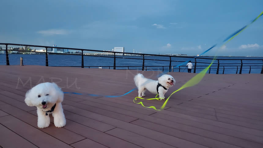 海側の風が強くなって気持ちいい♪