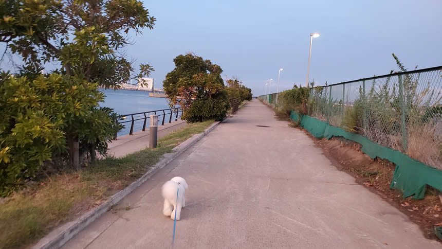 海沿いということもあり、潮風の匂いを楽しみながら進んでいきます♪