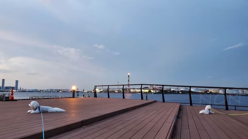 のんちゃんも着いて、潮風を楽しみながらのんびりくつろぎ中♪