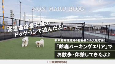 新東名高速道路「鈴鹿パーキングエリア」で愛犬のんまると休憩・お散歩（三重県鈴鹿市）
