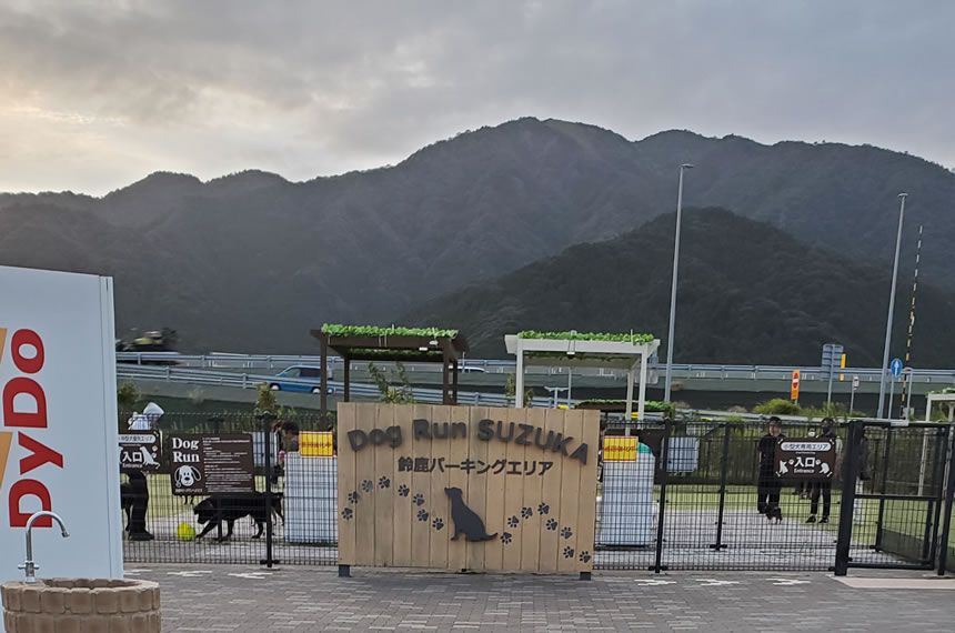 向うにドッグランを見つけました!