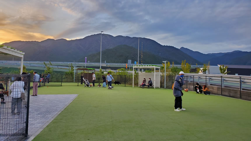 たくさんのお友達が楽しんでました!