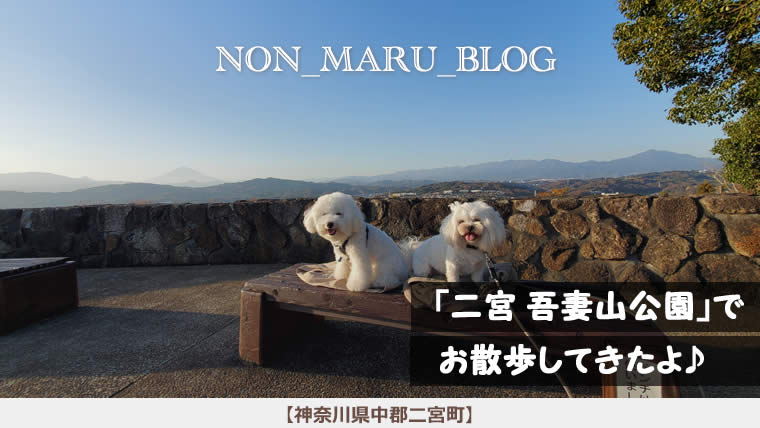 二宮 吾妻山公園で愛犬のんまるとお散歩してきたよ♪（神奈川県中郡二宮町）