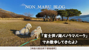 富士芦ノ湖パノラマパークで愛犬のんまるとお散歩してきたよ♪（神奈川県足柄下郡箱根町）