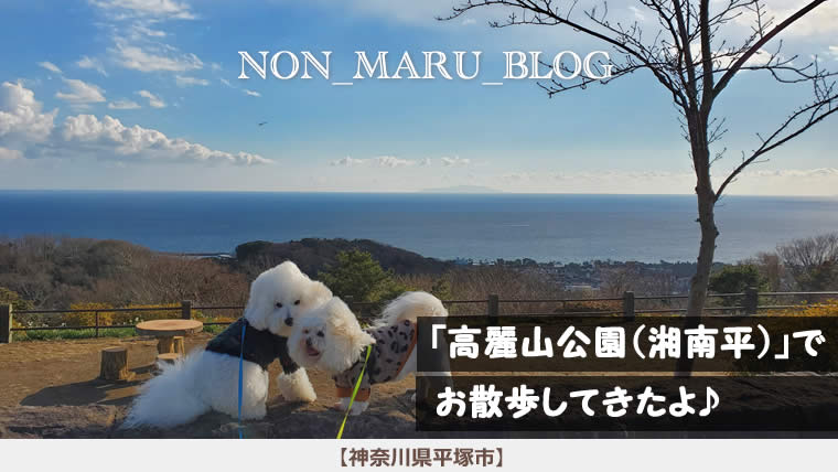 高麗山公園（湘南平）で愛犬のんまるとお散歩してきたよ♪（神奈川県平塚市）