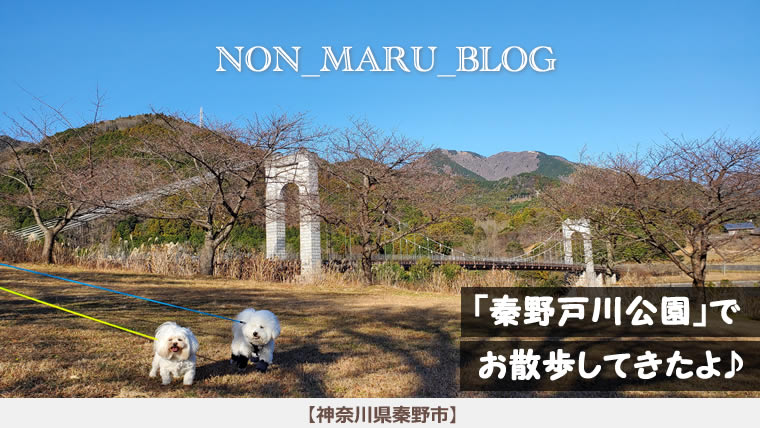 秦野戸川公園でのんまる達とお散歩してきたよ（神奈川県秦野市）