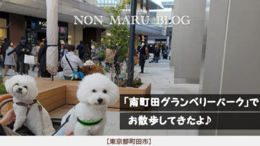 南町田グランベリーパークで愛犬のんまるとショッピング散歩（東京都町田市）