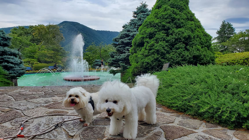 ちょっと移動して噴水をバックに記念写真♪