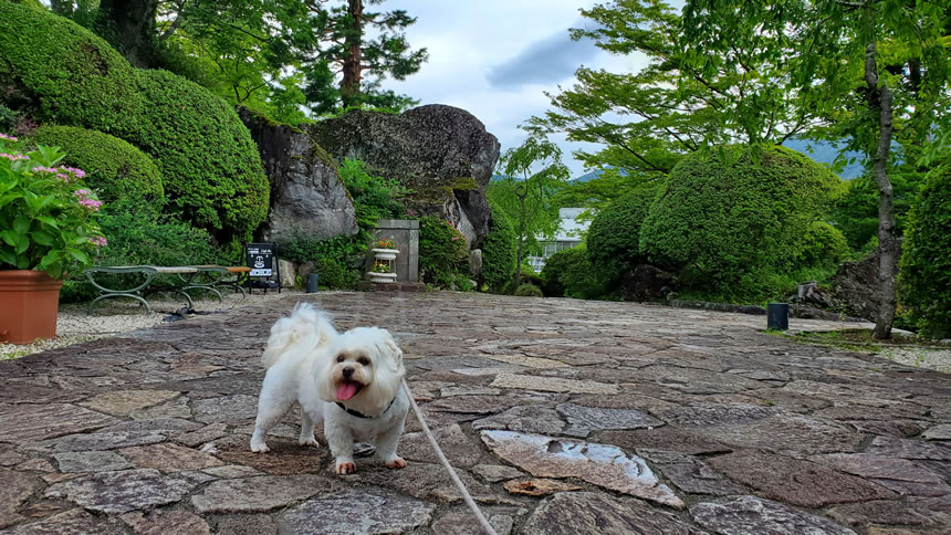 坂をのぼっていくとちょっとした広めのスペースまで来たので写真撮影！