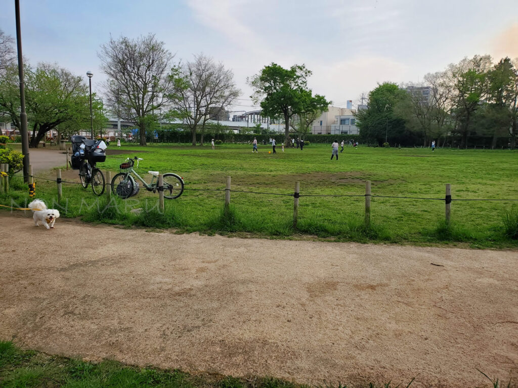 公園に駐車場は無く近くのコインパーキングに車を停めてお散歩開始です。