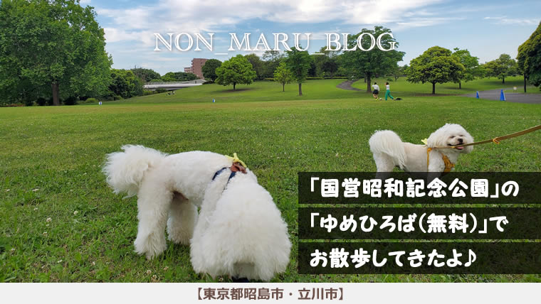 国営昭和記念公園の「ゆめひろば（無料エリア）」で愛犬のんまるとお散歩してきたよ♪（東京都立川市）