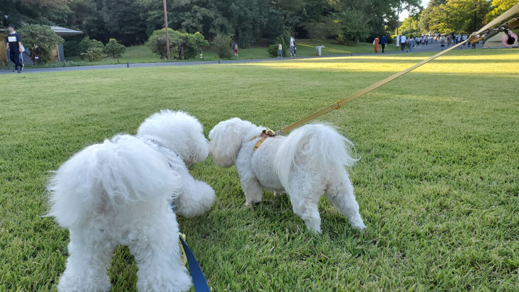 まだ公園に入ってすぐの場所なのでもっと先にあるみんなの原っぱまで進んでみます！