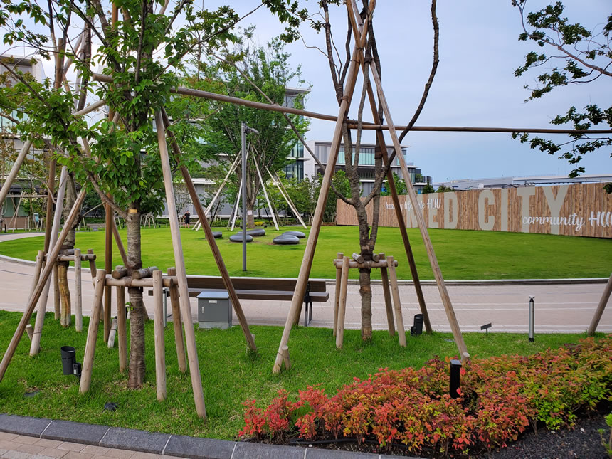 殿町第２公園内ではないのですが公園の隣にも芝生エリアがあります！