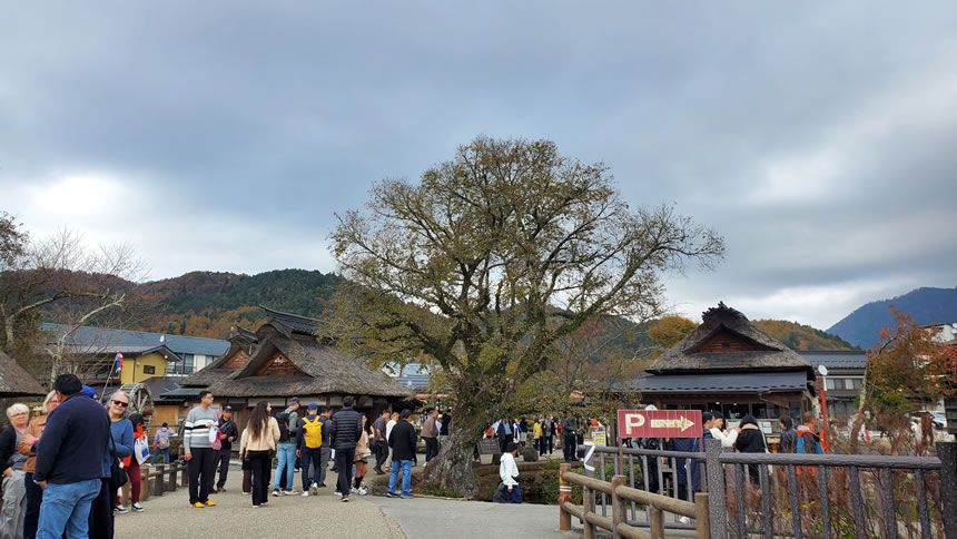 海外から訪れている方が特に多かった！