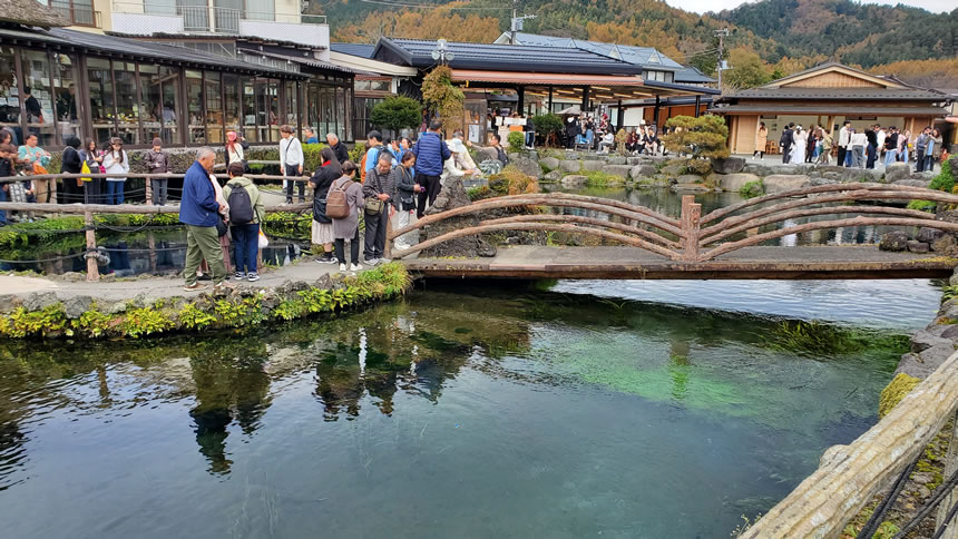さらに進むとすごく賑わってます！忍野八海の池にはニジマスやアルビノニジマス、オショロコマなどが泳いでいるようです！