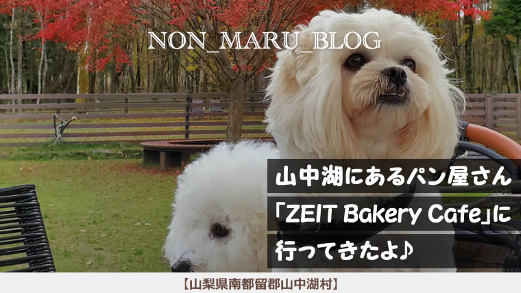 山中湖にあるパン屋さん「ZEIT Bakery Cafe」に愛犬のんまると行ってきたよ(山梨県南都留郡)