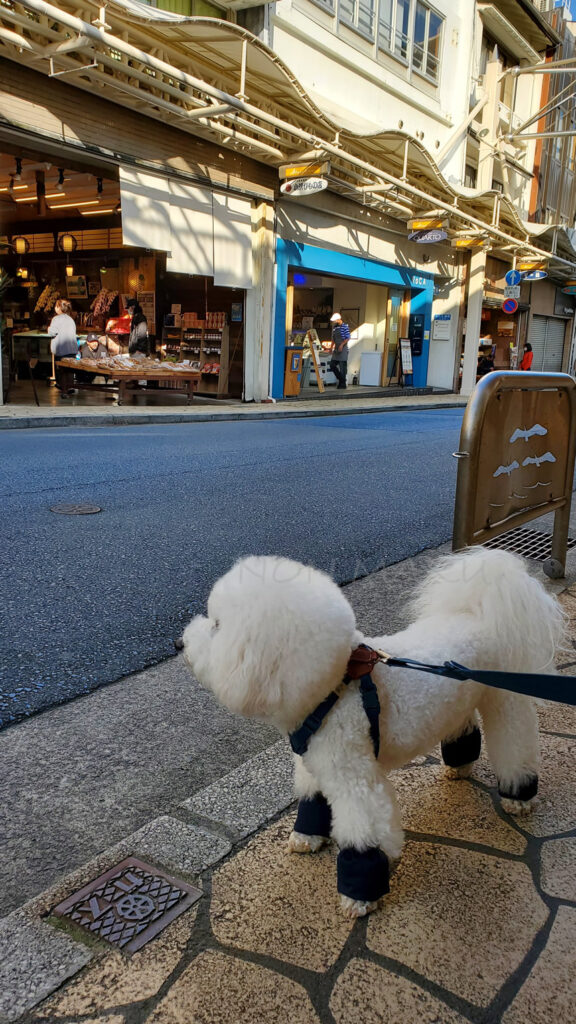 帰りはぐるっと熱海銀座商店街を少しお散歩しながら駐車場に向かいました！