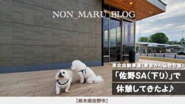 東北自動車道「佐野SA（下り）」で愛犬のんまると休憩してきたよ（栃木県佐野市）
