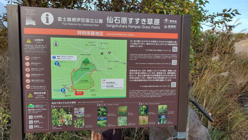 仙石原・台ヶ岳にススキが一面に広がった仙石原すすき草原は『神奈川の花の名所100選』『かながわの景勝50選』にも選ばれている有名な観光地です。