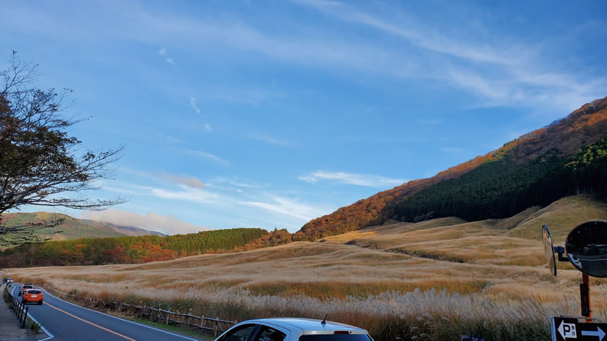 歩道をお散歩しながら進むと一面に広がる壮大なススキが見えてきました！