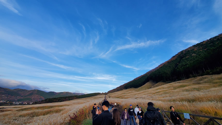 壮大なススキ草原の景色は圧巻です。