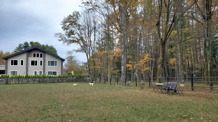 仲良く遊んでます(笑)イスも設置されていました!