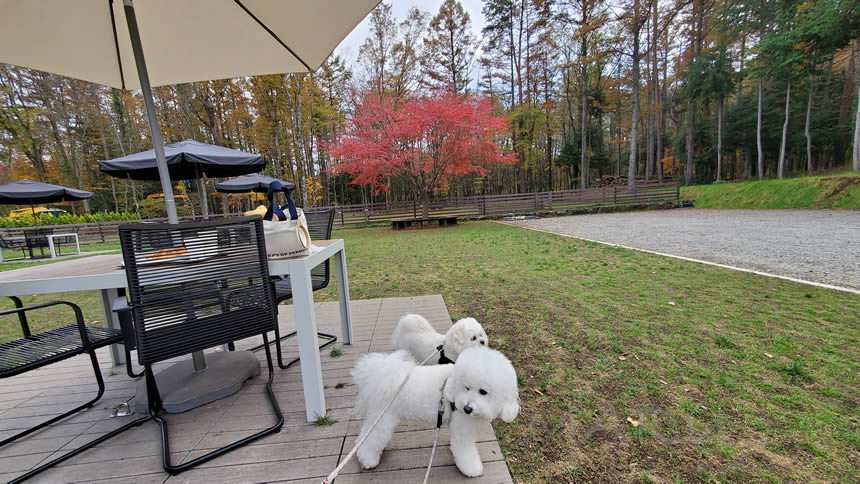 たくさん遊んだのでテラス席に戻り休憩中!