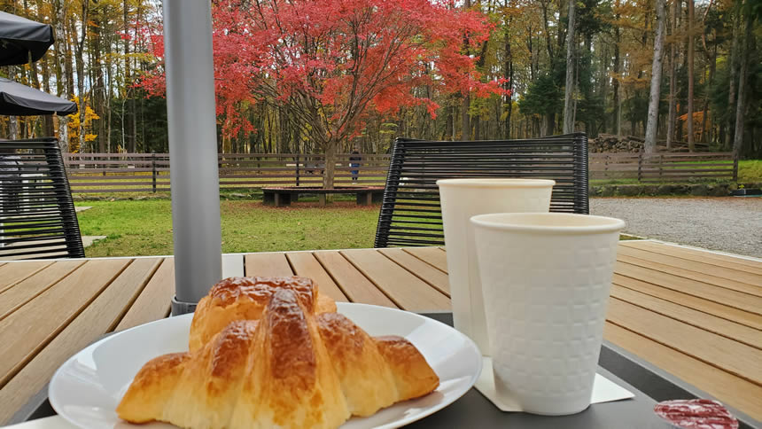 お店の人に聞いたらドッグラン利用OKだったので、おいしそうなクロワッサンとコーヒーはテラス席において、のんまる達はさっそくランラン開始♪