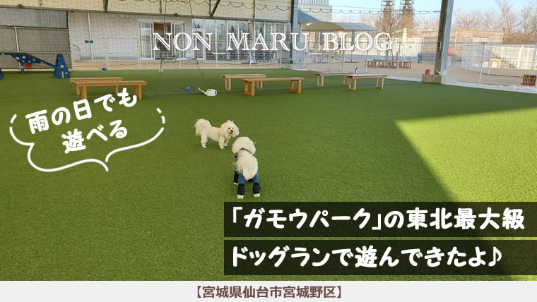 東北最大級のドッグランがある「ガモウパーク」で遊んできたよ♪（宮城県仙台市宮城野区）