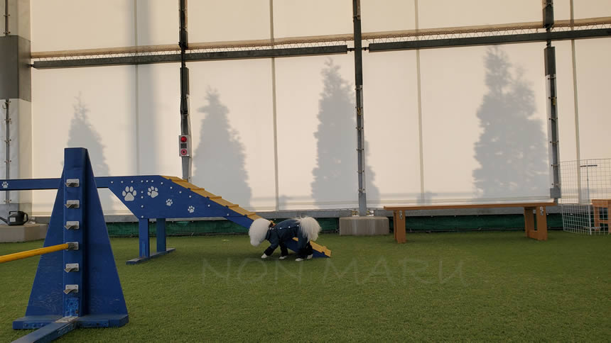 まるは、さっそく探検開始♪