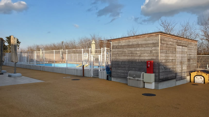 夏はプールもいいね！