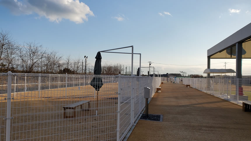 誰もいないフリーラン（小型～大型犬）のスペースに向かいます！