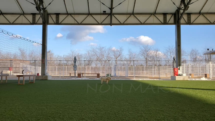 のんちゃんはまると向うにいるお友達を観察中。