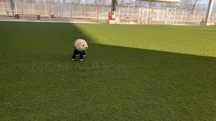 広いので気づかなかったけど他のお友達を発見♪